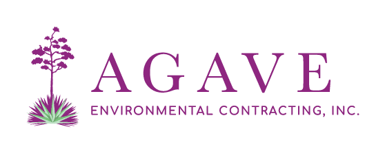 Agave Logo