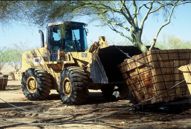 Native Plants Salvage